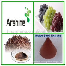 Extracto de semilla de uva natural Anthocyanin for Healthy and Nutrition Supplement